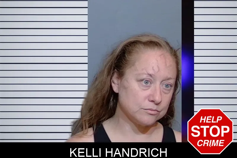 Kelli Handrich mugshot – Glynn County , Georgia Kelli Handrich mugshot