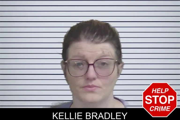 Kellie Bradley mugshot – Wayne County , Georgia Kellie Bradley