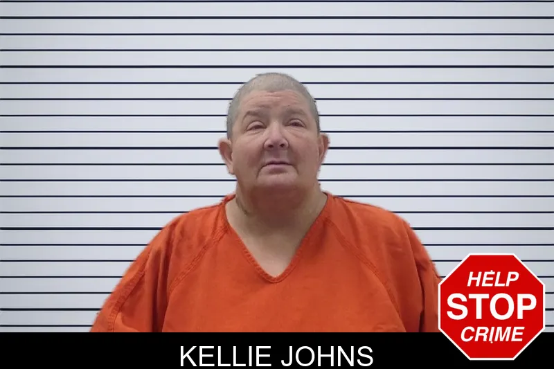 Kellie Johns Mugshots