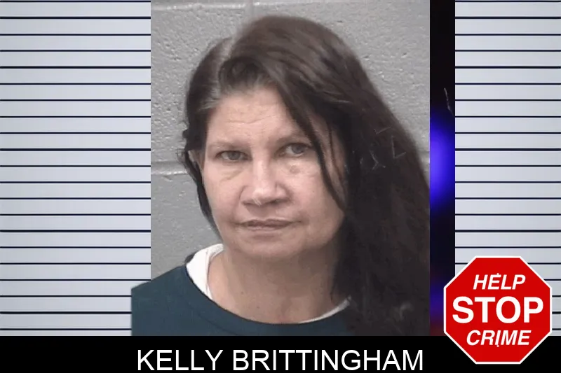 Kelly Brittingham Mugshots