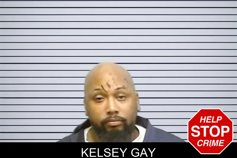 Kelsey Gay mugshot