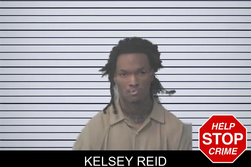 Kelsey Reid mugshot – Newton County , Georgia Kelsey Reid mugshot