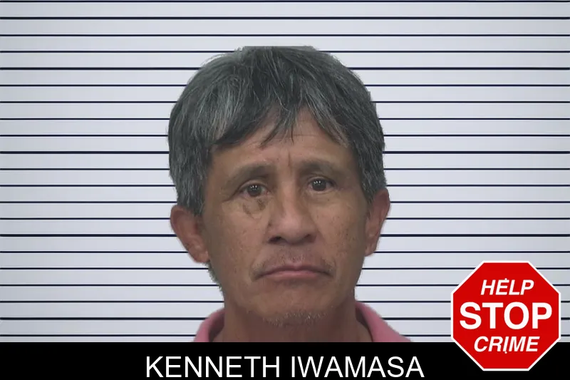 Kenneth Iwamasa mugshot – Gwinnett County , Georgia Kenneth Iwamasa mugshot