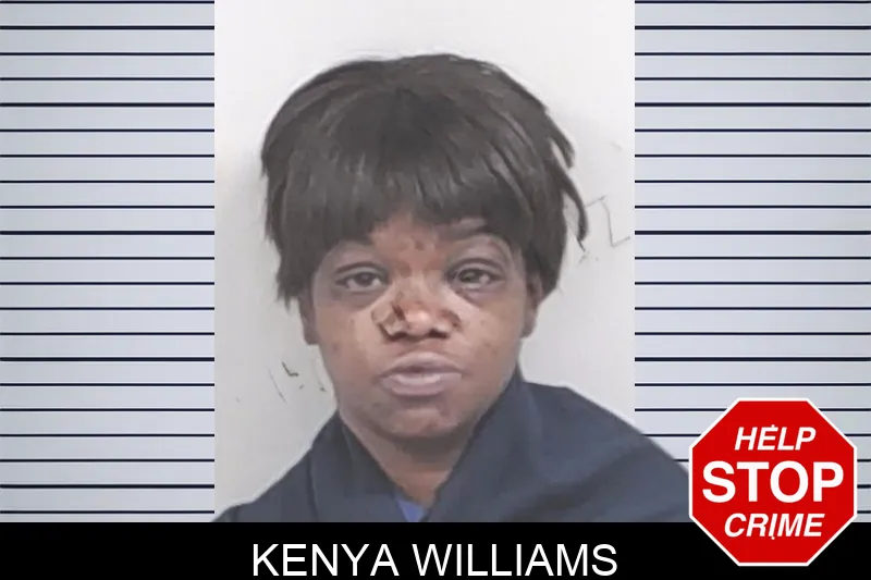 Kenya Williams mugshot – Lowndes County , Georgia Kenya Williams mugshot