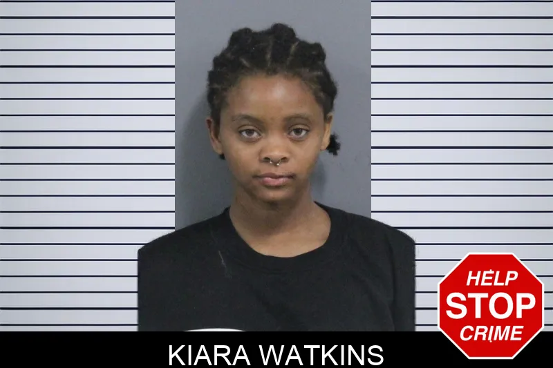 Kiara Watkins mugshot – Catoosa County , Georgia Kiara Watkins mugshot