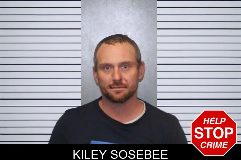 Kiley Sosebee Mugshots