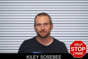 Kiley Sosebee mugshot