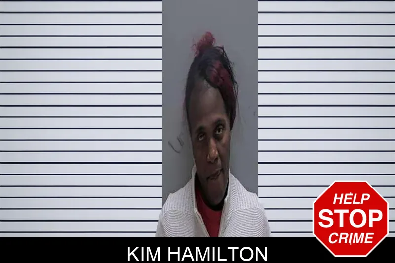 Kim Hamilton Mugshots