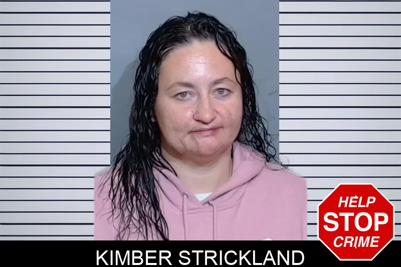 Kimber Strickland mugshot – Glynn County , Georgia Kimber Strickland mugshot