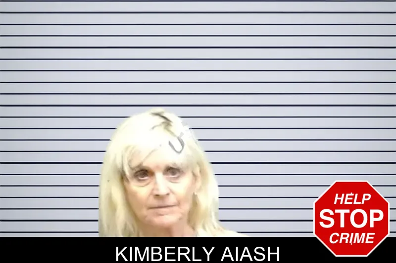 Kimberly Aiash mugshot – Fulton County , Georgia Kimberly Aiash mugshot