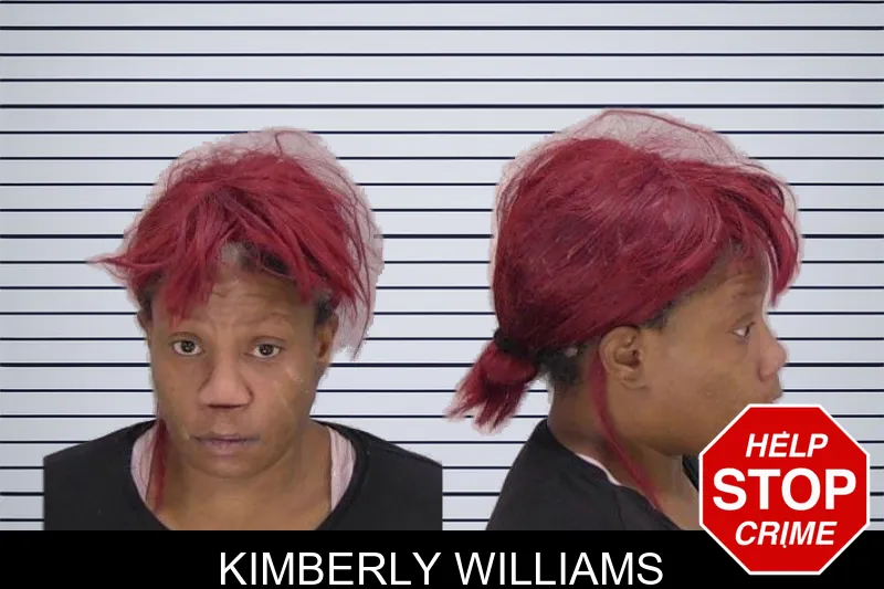 Kimberly Williams Mugshots