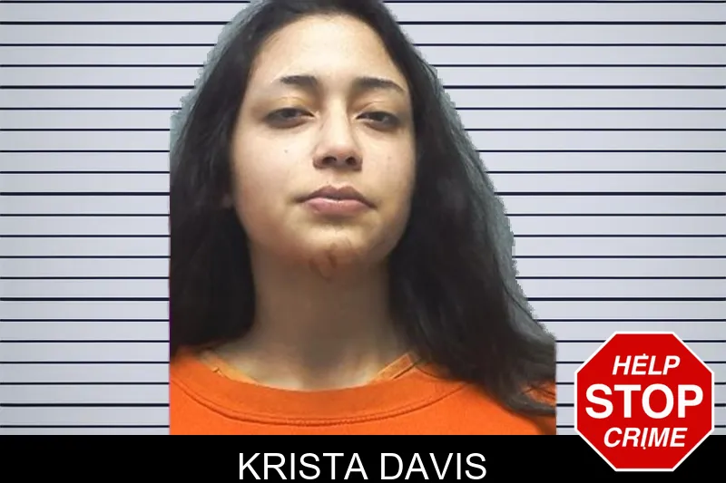 Krista Davis Mugshots