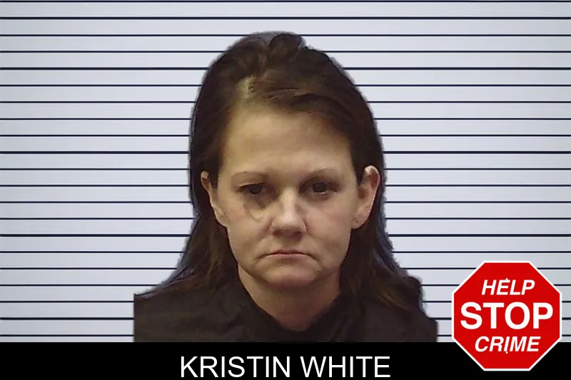 Kristin White mugshot