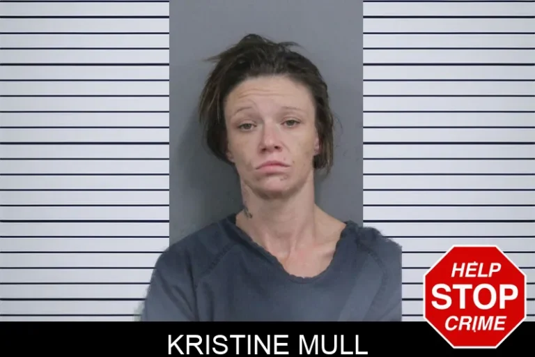 Kristine Mull mugshot – Catoosa County , Georgia Kristine Mull