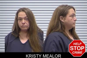 Kristy Mealor mugshot
