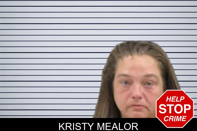 Kristy Mealor Mugshots
