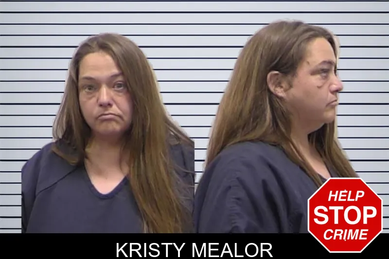 Kristy Mealor Mugshots