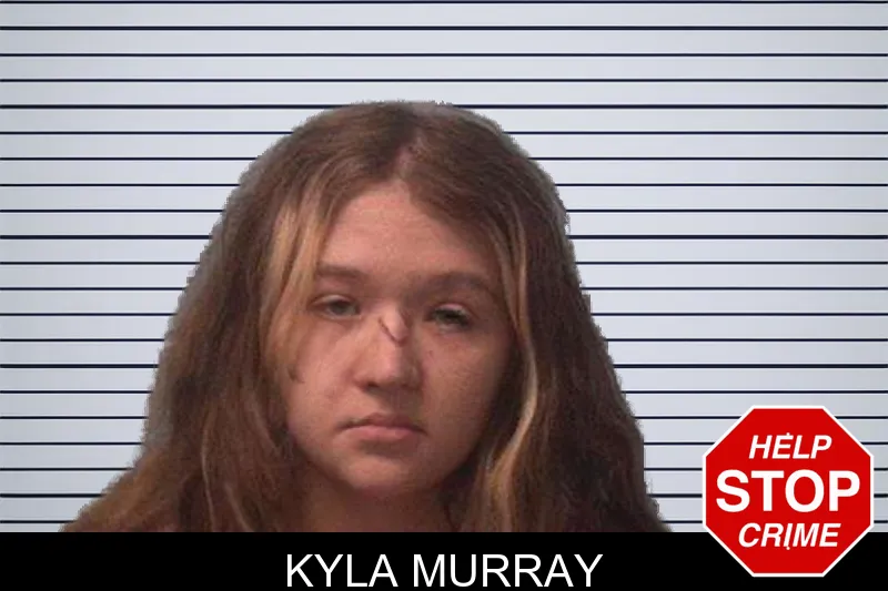 Kyla Murray mugshot – Franklin County , Georgia Kyla Murray mugshot