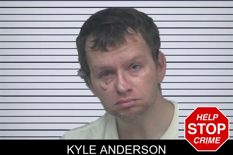 Kyle Anderson mugshot