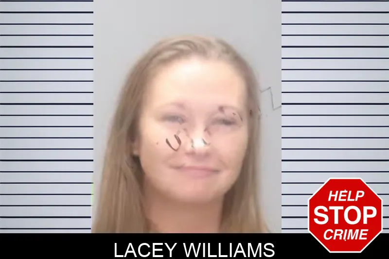 Lacey Williams Mugshots