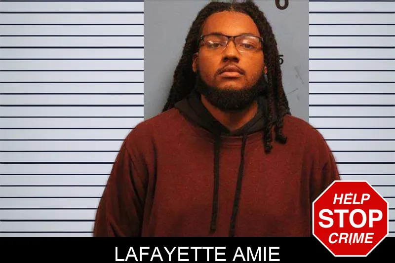 Lafayette Amie Mugshots