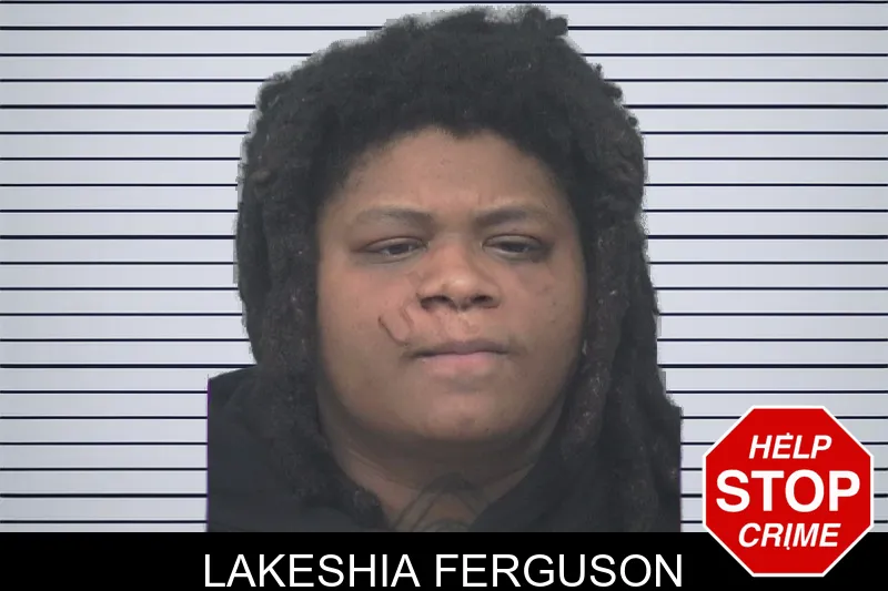 Lakeshia Ferguson mugshot