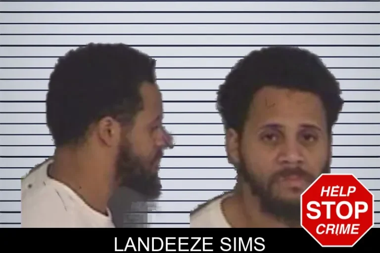 Landeeze Sims mugshot – Barrow County , Georgia Landeeze Sims