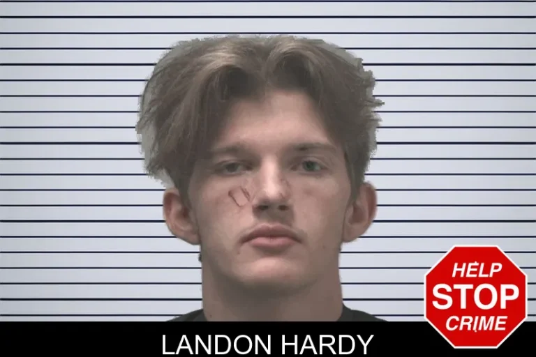 Landon Hardy mugshot – Coweta County , Georgia Landon Hardy