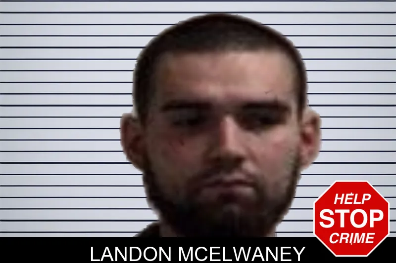 Landon McElwaney mugshot – Henry County , Georgia Landon McElwaney mugshot