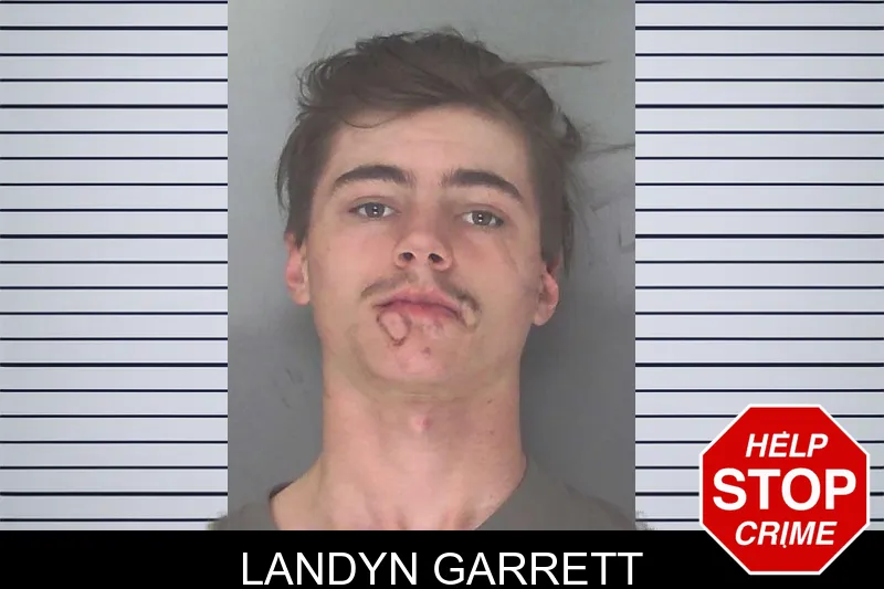 Landyn Garrett Mugshots