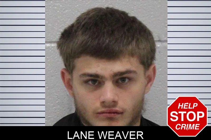 Lane Weaver Mugshots