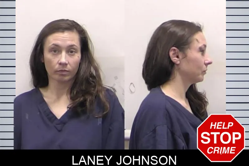 Laney Johnson Mugshots