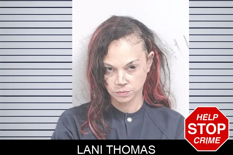 Lani Thomas Mugshots