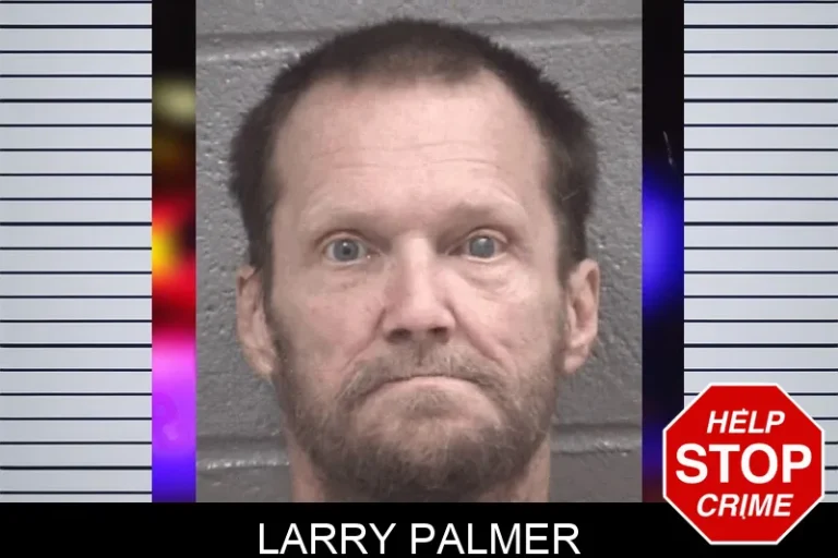 Larry Palmer