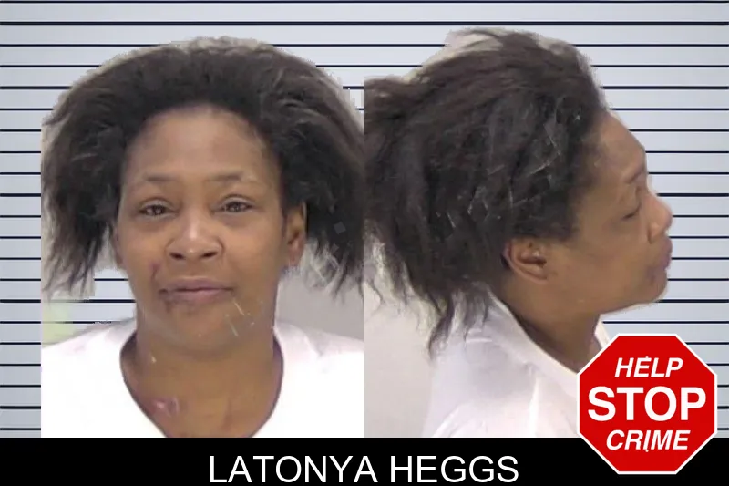 Latonya Heggs Mugshots