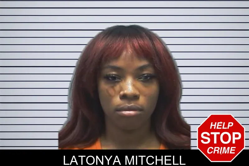 Latonya Mitchell mugshot – Cherokee County , Georgia Latonya Mitchell mugshot