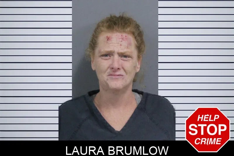 Laura Brumlow mugshot – Catoosa County , Georgia Laura Brumlow mugshot