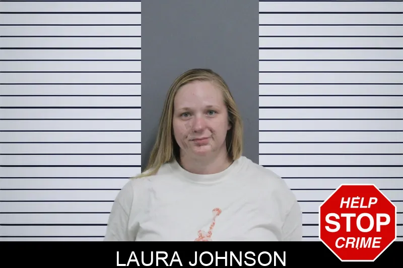 Laura Johnson mugshot – Catoosa County , Georgia Laura Johnson mugshot