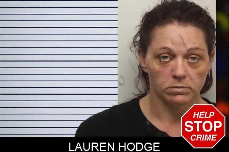 Lauren Hodge mugshot – Chatham County , Georgia Lauren Hodge