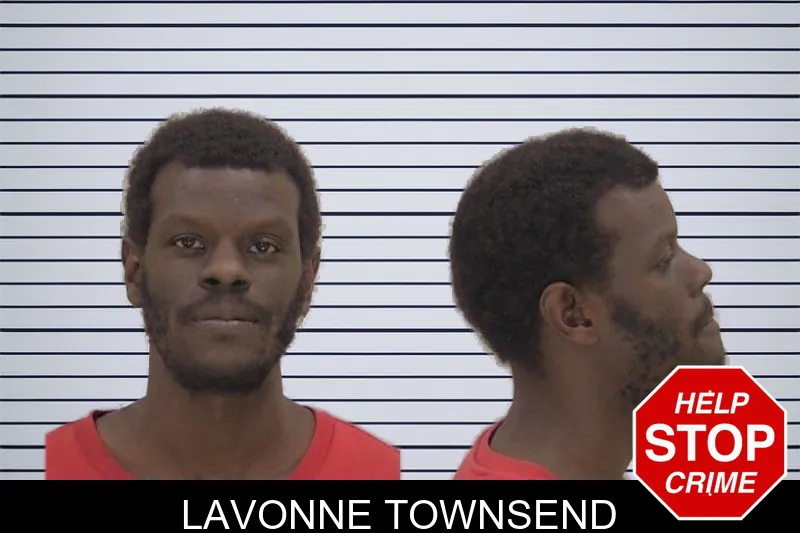 Lavonne Townsend mugshot