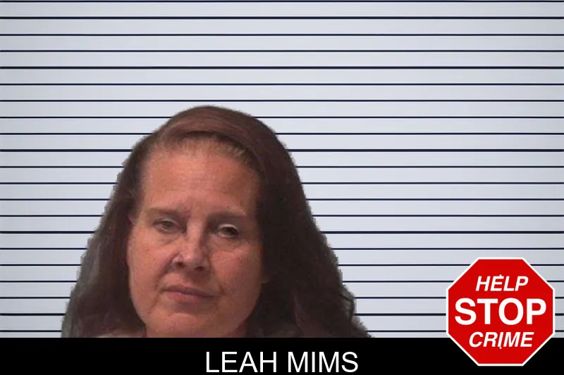 Leah Mims Mugshots