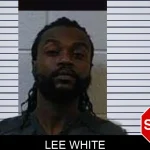 Lee White Mugshots