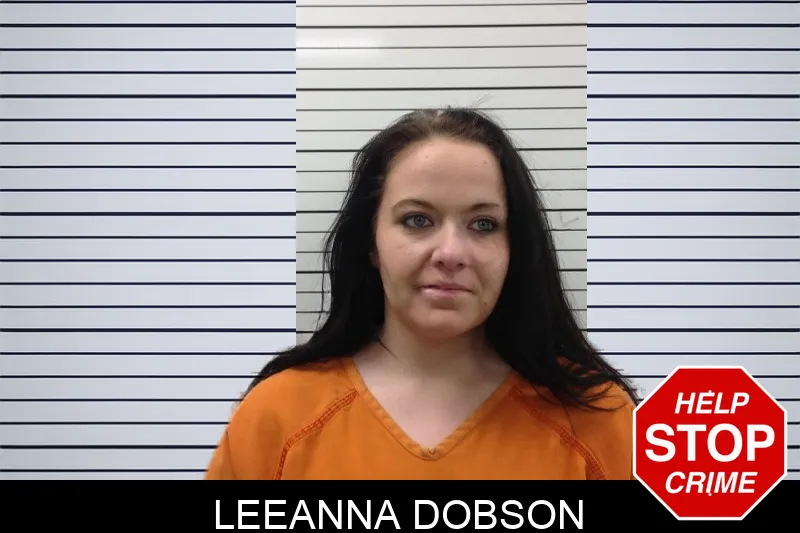Leeanna Dobson Mugshots