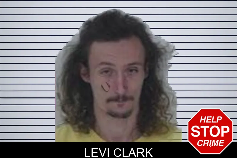Levi Clark mugshot