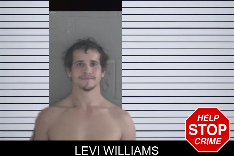 Levi Williams mugshot
