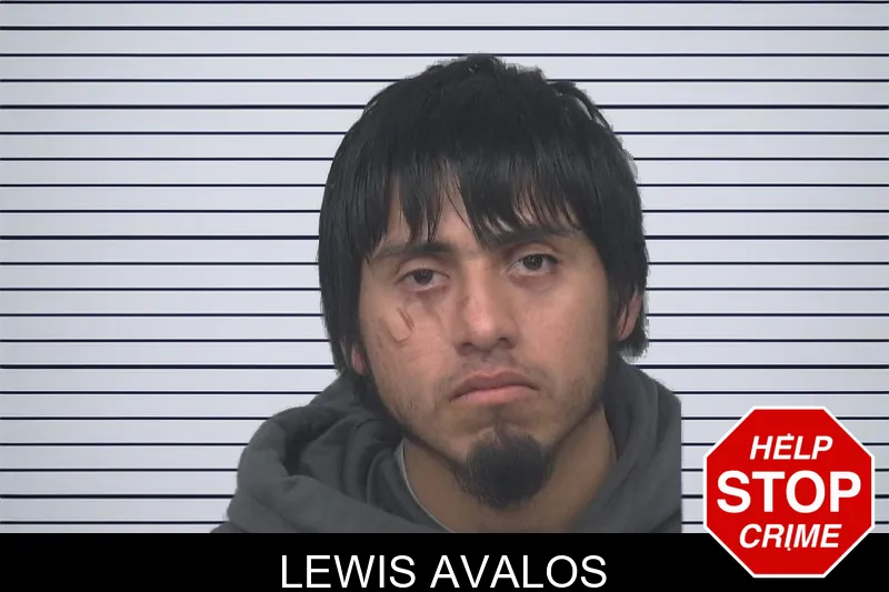 Lewis Avalos mugshot