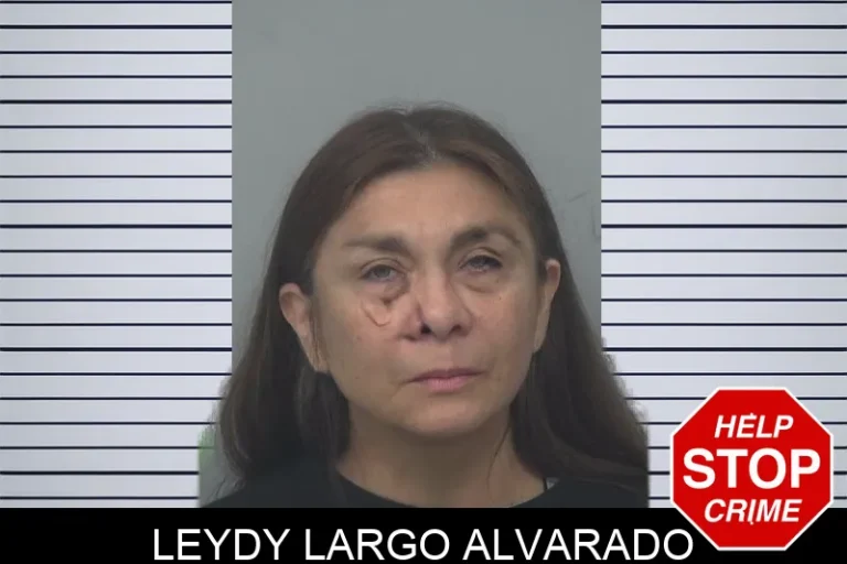 Leydy Largo Alvarado
