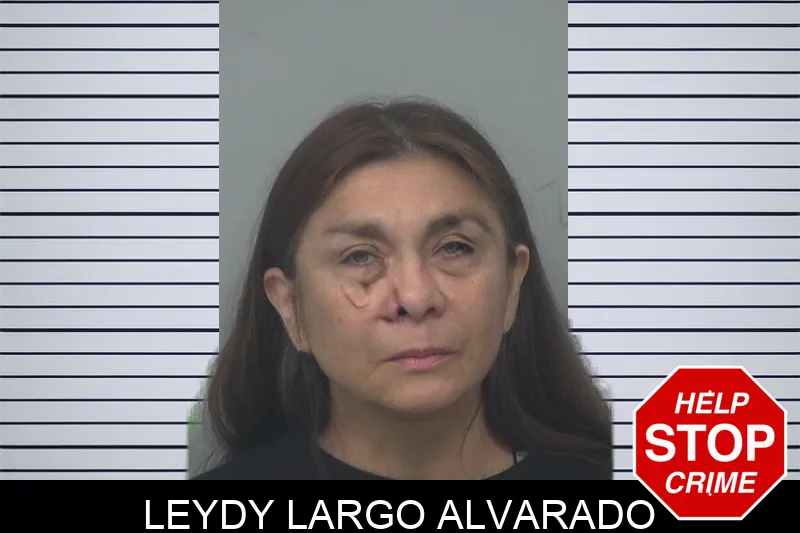 Leydy Largo Alvarado mugshot