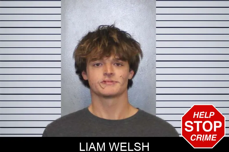 Liam Welsh Mugshots