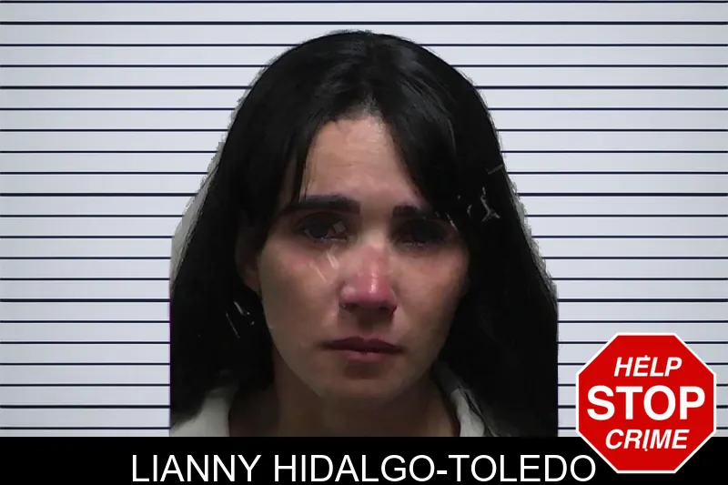 Lianny Hidalgo-Toledo Mugshots